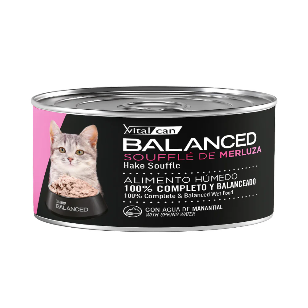 Balanced Soufflé Merluza Gatito