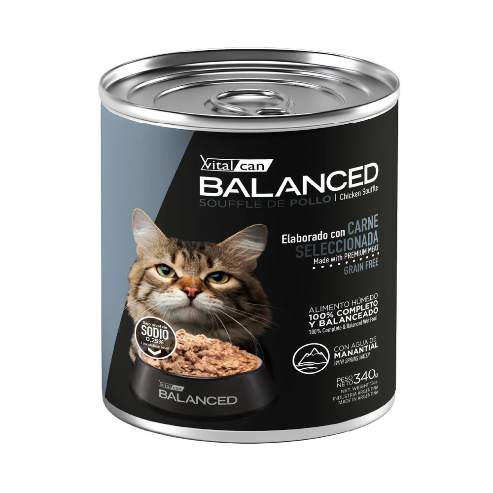 Balanced Soufflé Pollo Gato Senior