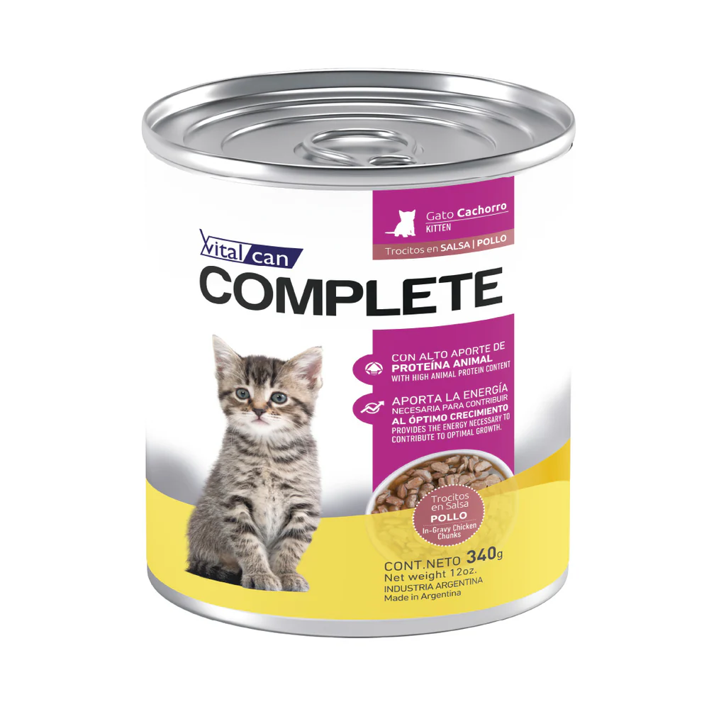 Complete Pollo Kitten